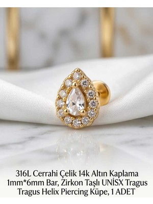 Begonia Accessories 316L Cerrahi Çelik Altın Kaplama Kararmaz Alerji Yapmaz Zirkon Taş Figür Unisex Tragus Helix Küpe Piercing A429-19