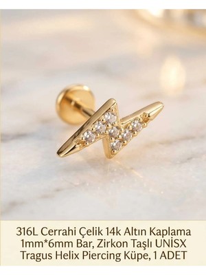 Begonia Accessories 316L Cerrahi Çelik Altın Kaplama Kararmaz Alerji Yapmaz Zirkon Taş Figür Unisex Tragus Helix Küpe Piercing A429-2