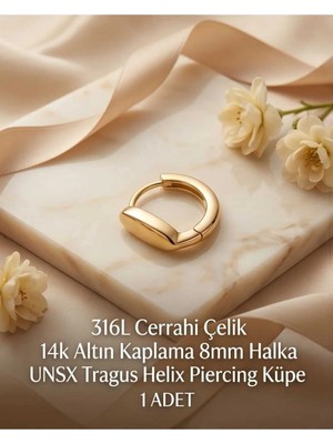 Begonia Accessories 316L Cerrahi Çelik Altın Kaplama Kararmaz Alerji Yapmaz Zirkon Taş Figür 1 Adet Unisex Minimal Halka Tragus Helix Küpe Piercing A503-8