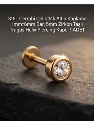 Begonia Accessories 316L Cerrahi Çelik Altın Kaplama Kararmaz Alerji Yapmaz Zirkon Taş Figür Unisex Tragus Helix Küpe Piercing A429-3