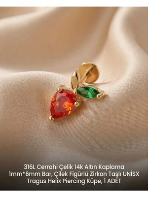 Begonia Accessories 316L Cerrahi Çelik Altın Kaplama Kararmaz Alerji Yapmaz Zirkon Taş Figür Unisex Tragus Helix Küpe Piercing A429-37