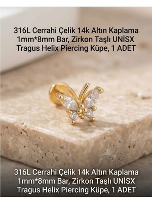 Begonia Accessories 316L Cerrahi Çelik Altın Kaplama Kararmaz Alerji Yapmaz Zirkon Taş Figür Unisex Tragus Helix Küpe Piercing A429-38