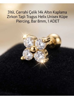 Begonia Accessories 316L Cerrahi Çelik Altın Kaplama Kararmaz Alerji Yapmaz Zirkon Taş Figür Unisex Tragus Helix Küpe Piercing A106-38