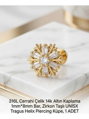 Begonia Accessories 316L Cerrahi Çelik Altın Kaplama Kararmaz Alerji Yapmaz Zirkon Taş Figür Unisex Tragus Helix Küpe Piercing A429-29