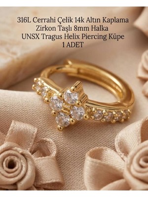 Begonia Accessories 316L Cerrahi Çelik Altın Kaplama Kararmaz Alerji Yapmaz Zirkon Taş Figür 1 Adet Unisex Minimal Halka Tragus Helix Küpe Piercing A503-11