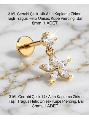 Begonia Accessories 316L Cerrahi Çelik Altın Kaplama Kararmaz Alerji Yapmaz Zirkon Taş Figür Unisex Tragus Helix Küpe Piercing A106-44