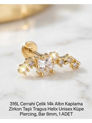 Begonia Accessories 316L Cerrahi Çelik Altın Kaplama Kararmaz Alerji Yapmaz Zirkon Taş Figür Unisex Tragus Helix Küpe Piercing A106-16