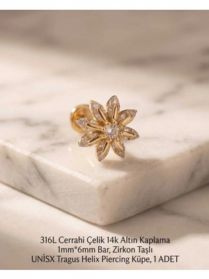 Begonia Accessories 316L Cerrahi Çelik Altın Kaplama Kararmaz Alerji Yapmaz Zirkon Taş Figür Unisex Tragus Helix Küpe Piercing A429-17