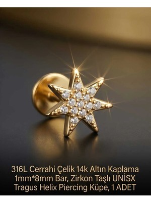 Begonia Accessories 316L Cerrahi Çelik Altın Kaplama Kararmaz Alerji Yapmaz Zirkon Taş Figür Unisex Tragus Helix Küpe Piercing A429-30