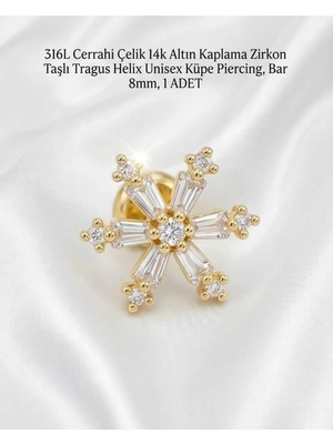 Begonia Accessories 316L Cerrahi Çelik Altın Kaplama Kararmaz Alerji Yapmaz Zirkon Taş Figür Unisex Tragus Helix Küpe Piercing A106-13