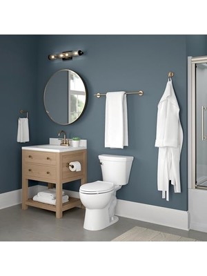 Defne Store Trinsic 45,72 cm Havlu Askısı, Şampanya Bronz, Banyo Aksesuarları, 75918-CZ