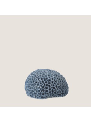 Chakra Mercan Polyresi̇n Açik Mavi̇ Küçük (16X13X9CM) Natural