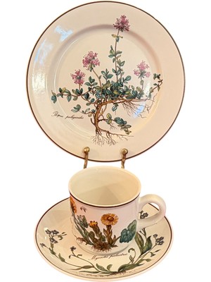 Villeroy Boch Çay Kahve Fincanı Fincan Tabağı ve Pasta Tabağı