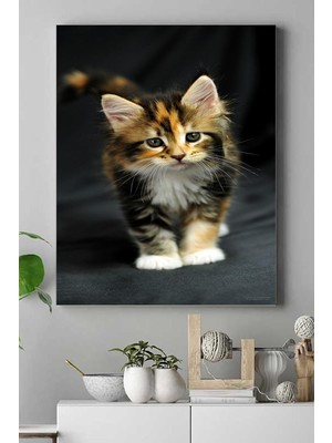 Depo Store (PSTER16470) Kedi Hayvan Kanvas Tablo 2 40 x 60