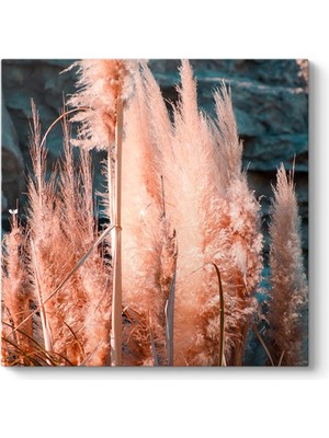 Crazy Shops Pampas Otu Tablosu 30 x 30