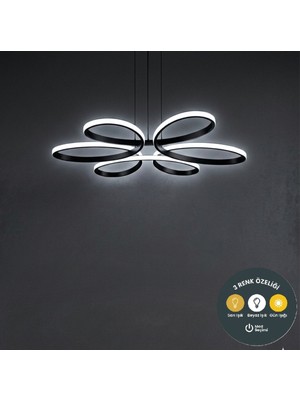 UltraMint Modern Siyah Sarkıt LED Avize, Çok Renkli, Salon ve Mutfak Dekoru