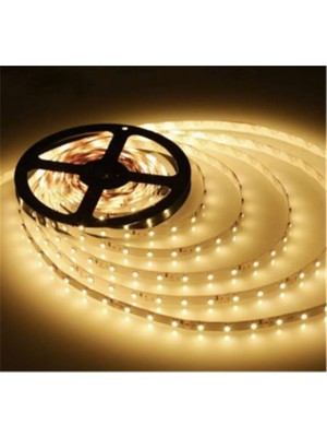 Cata 120 LED 5 Metre CT-4540G Şerit LED 3200K Iç Mekan 12 V DC Yüksek Parlaklık ve Enerji Tasarruflu