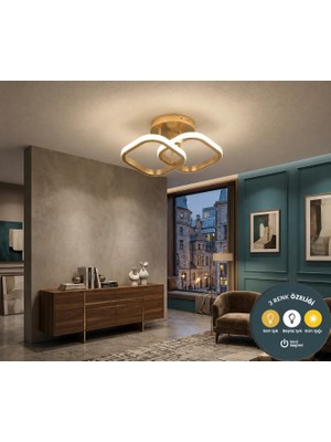 Lzy Avize Store Çift Kare Tasarım LED Eskitme Plafonyer Avize - 3 Farklı Renk Seçeneği ile Şık Koridor Antre Avizesi