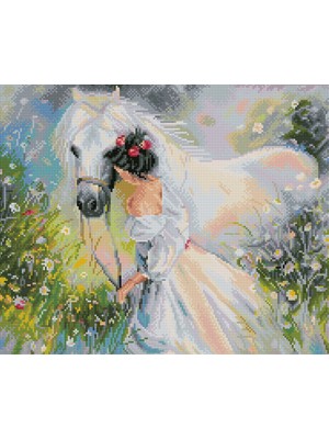 Elegantshop Diamond Dotz 5d Yapışan Boncuk Mozaik Tablo 58*49 cm DQ10.002