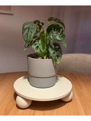 3D Baskı Zamanı Modern Iskandinav Tarzı Dekoratif Sunum Tablası - Küre Ayaklı Saksı Altlığı ve Düzenleyici