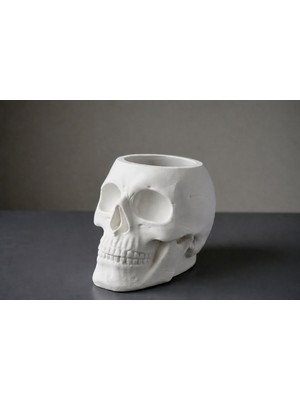 3D Baskı Zamanı Kuru Kafa Kalemlik – Dekoratif Masa Üstü Organizer (Skull Tasarım Kalem Tutucu, Gothic Ofis Aksesuarı)