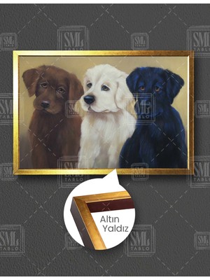 SML Tablo Kahverengi Beyaz Siyah Yavru Köpek Yatay Çerçeveli Kanvas Tablo