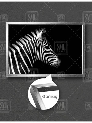 SML Tablo Zebra Kafası Afrika Hayvan Siyah Beyaz Yatay Çerçeveli Kanvas Tablo