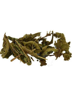 TeknoKapsül Incir Yaprağı Doğal 100 gr Paket