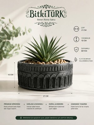 Roma Dizayn Beton Saksı Bonsai&çiçek