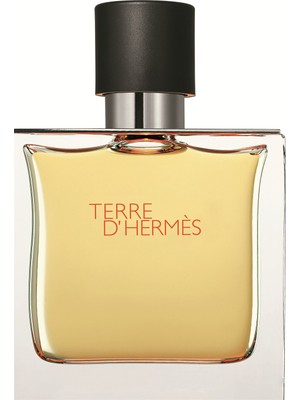 Hermes Terre D'Hermes EDT 100 Ml Erkek Parfüm Odunsu Oryantal Baharatlı Koku