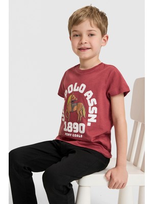 U.S. Polo Assn. Erkek Çocuk Vişne Bisiklet Yaka Tişört 50327000-VR223