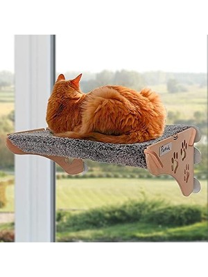 Yapışan Kedi Yatağı