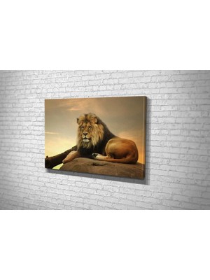 Vivense TABLO360 Aslan Kanvas Tablo 80X120