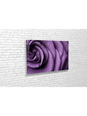 Vivense TABLO360 Gül Kanvas Tablo 80X120