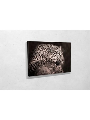 Vivense TABLO360 Leopar Kanvas Tablo 80X120
