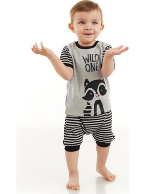 Denokids Rakun Erkek Bebek T-shirt Kapri Şort Takım