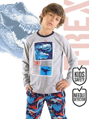 MSHB&G T-Rex Info Erkek Çocuk T-Shirt Pantolon Takım
