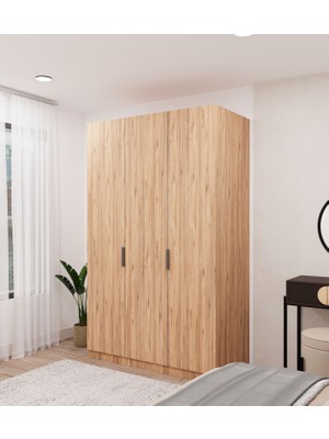 dolapmodellericom 3 Kapaklı Ahşap Dolap Komple Mdf
