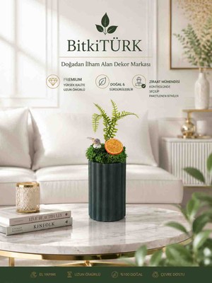 BitkiTÜRK Stabilize Yosun Dekoru – Beton Vazoda Yapay Bitki ve Serçe Figürlü Dekoratif Obje