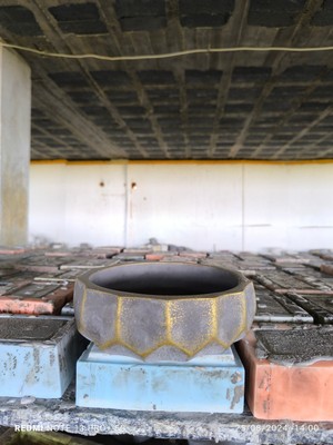 Empressco Geometrik Tasarımlı Gold Gri Beton Saksı, Şık ve Modern Dekorasyon