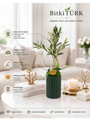 BitkiTÜRK Yapay Zeytin Ağacı 60-70 cm – Beton Vazolu Dekoratif Yapay Ağaç | Stabilize Moss Tasarımlı Ev ve Ofis Dekoru
