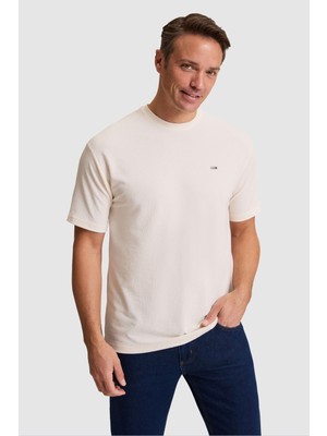 U.S. Polo Assn. Erkek Krem Comfort Fit Bisiklet Yaka Tişört 50327201-VR071