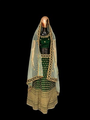 Aashiv's Collection Lehenga
