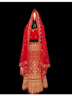 Aashiv's Collection Lehenga