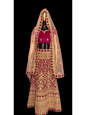 Aashiv's Collection Lehenga