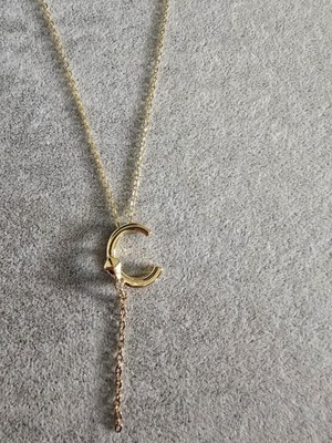 Stainless Steel Gold Renkli Zirkon Taşlı C Harfli Alya Kolyesi