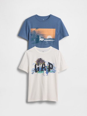 Gap Erkek Çocuk Mavi Grafik Baskılı T-Shirt (2’li)