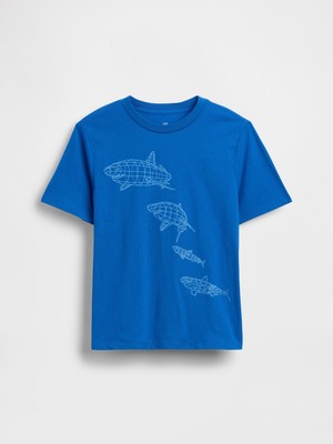 Gap Erkek Çocuk Mavi Grafik Baskılı T-Shirt