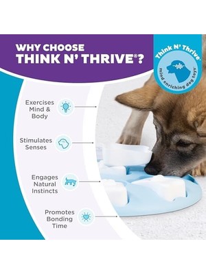 Vuralsin38 Outward Hound Nina Ottosson By Puppy Smart Blue Interactive Treat Puzzle Dog Toy