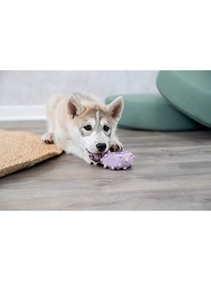 Vuralsin38 Yavru Köpek Mini Dambıl Lateks 10 cm